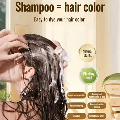 ✨Japanese Long Lasting Natural Hair Dye Shampoo Buy 1 Get 1 Free 🔥