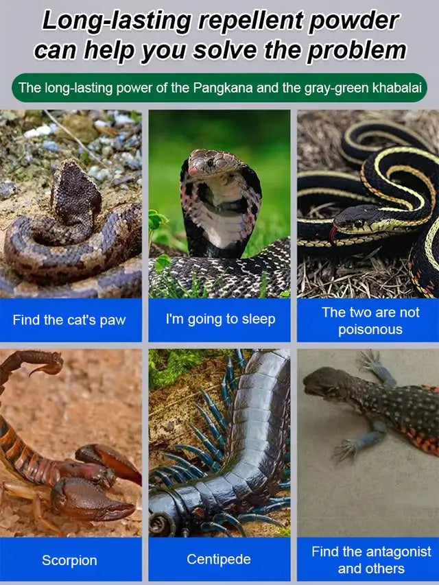 🔥Hot Sale 50% Off-Drive Snake Powerful Repellent