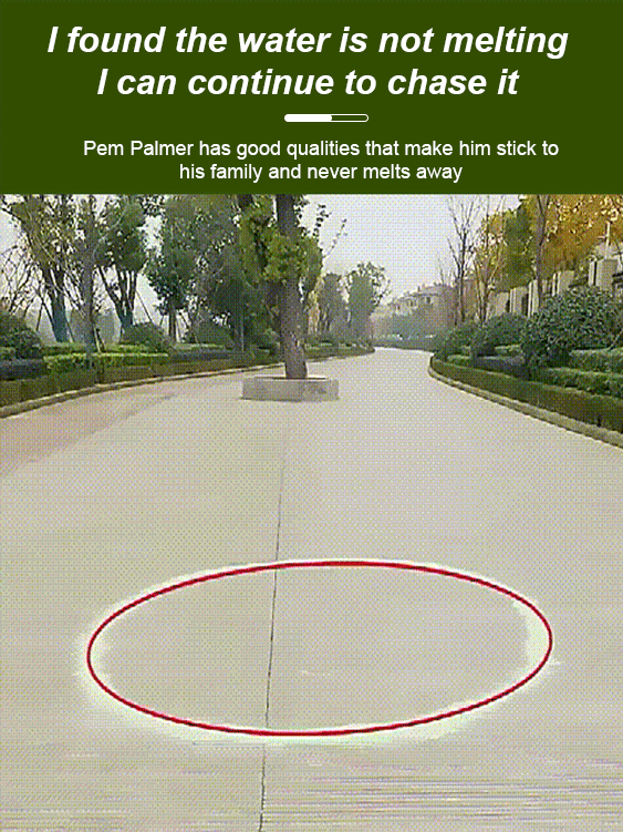 🔥Hot Sale 50% Off-Drive Snake Powerful Repellent