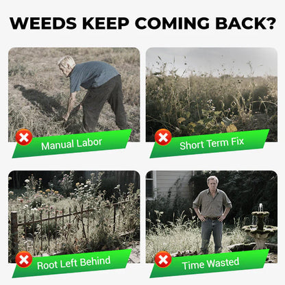 WeedErase™ Herbicide Granules | FREE CLIMBING ROSE SEEDS ( BUY 1 GET 2 FREE )